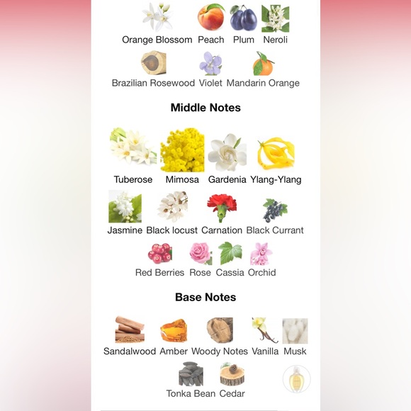 Givenchy Amarige,Brown Sugar babe Oil,Britney Spears Midnight Fantasy - Picture 7 of 9